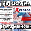 Drobiarz w Wylęgarni Piskląt w Pawłowie (K/M)